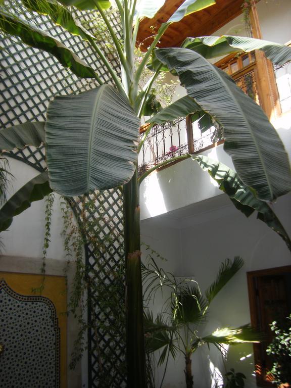 Riad Irene Marrakesh Exterior photo